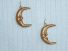 Golden Moon Earrings