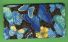 Butterflies on Black Fabric Checkbook Cover
